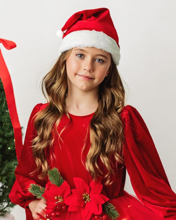 Caciula Rosie de Crcaiunita de catifea