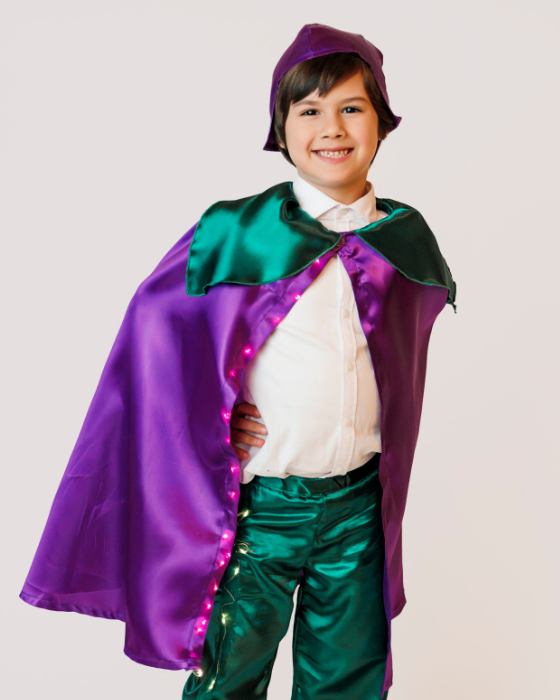 Costum Floare Mov, 2 Piese, cu Luminițe de Primăvară, Serbare, Brândușă, Toporaș, Zambilă