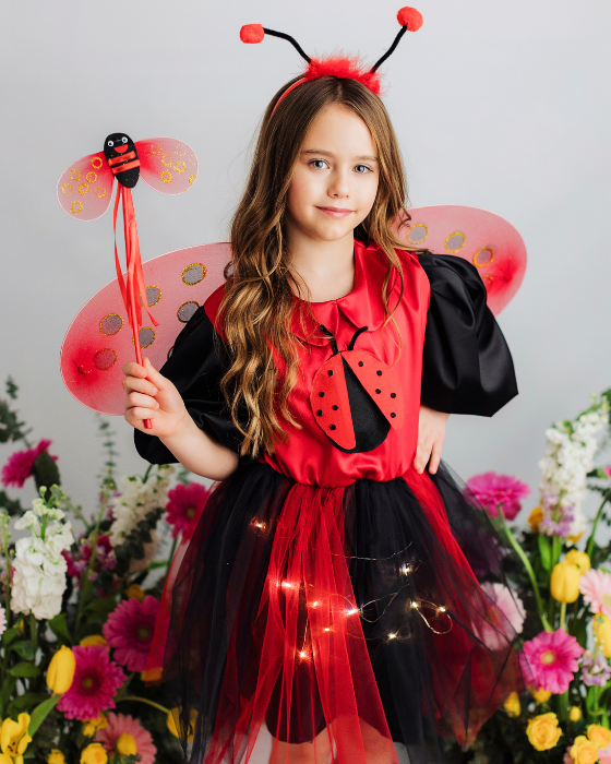 Rochița Buburuză cu Luminițe, Serbare Toamnă