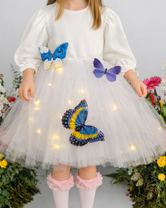 White Dress with Lights, with Blue Butterflies