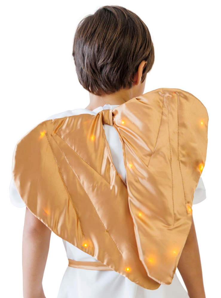 Aripi de Înger cu Luminițe, Aurii, de Băiat