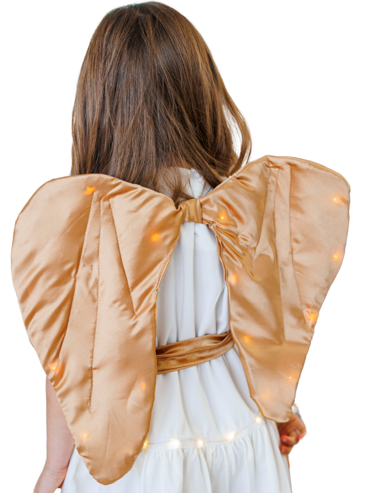 Aripi de Înger cu Luminițe, Aurii, de Fetiță, Grădiniță