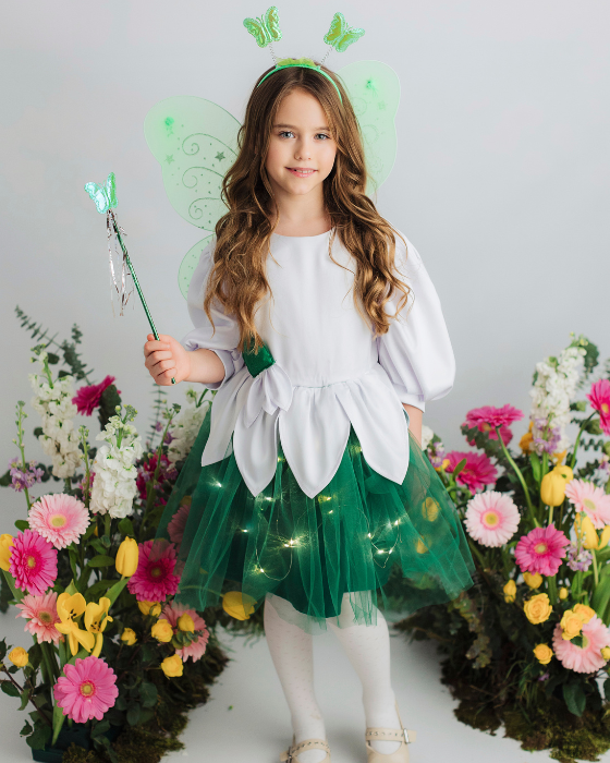 Snowdrop Fairy Costume, 4 pieces School Play, with pale green wings