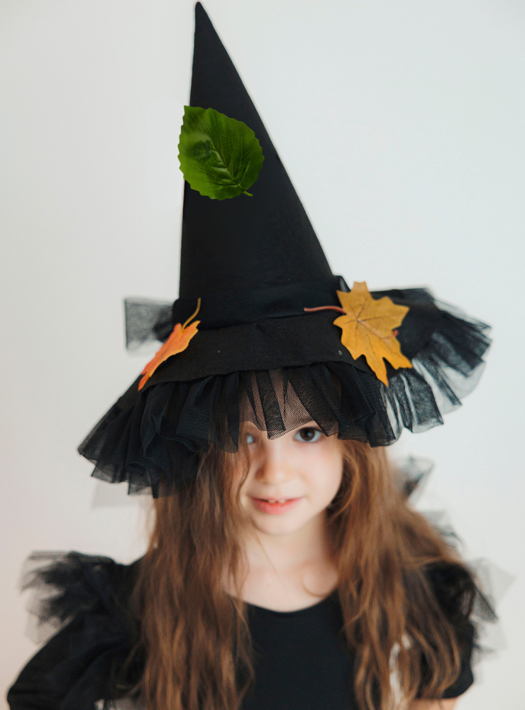Autumn Hat with Leaves