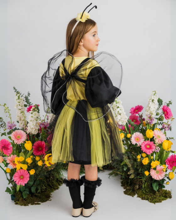 Rochița Albinuță cu Luminițe, Serbare toamnă