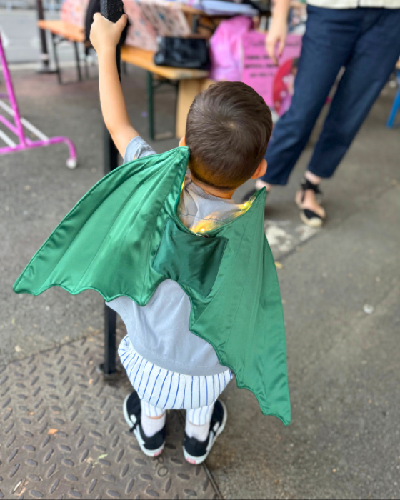 Aripi de Dragon / Dinozaur, cu luminițe, de Halloween / Carnaval