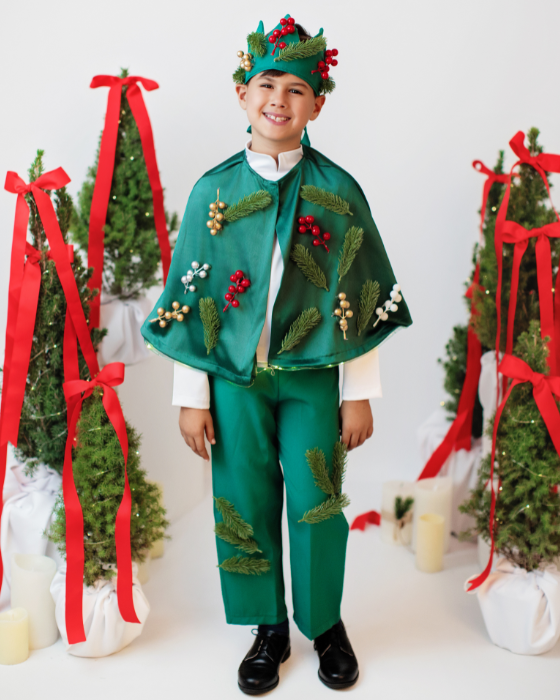 Costum 3 Piese, Verde, Brad, pantaloni + pelerina + coroana