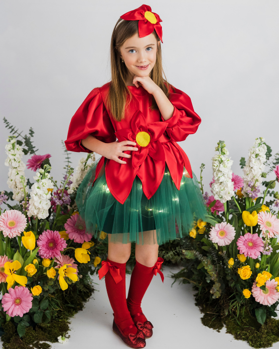 Rochița de Spiriduș / Craciunita, roșie serbare Crăciun roșu verde cu luminite