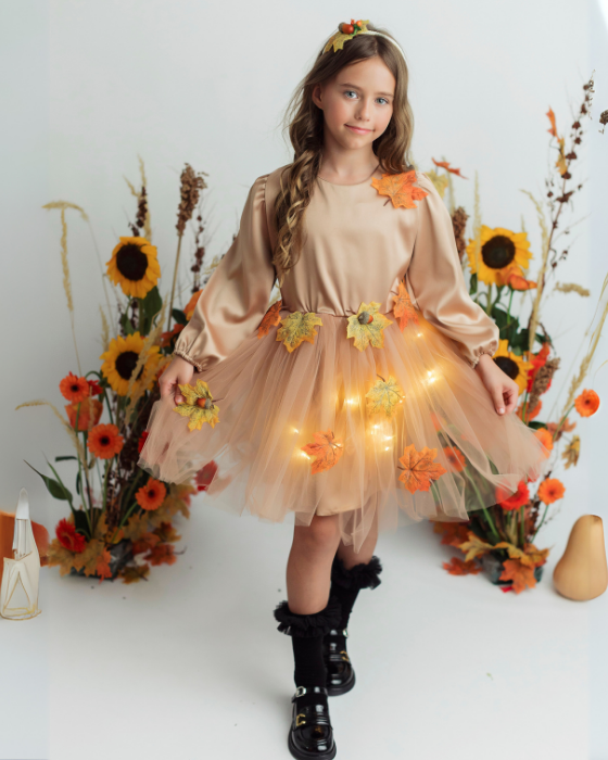 Autumn Fairy Costume, 2 pieces, Dress and Headband