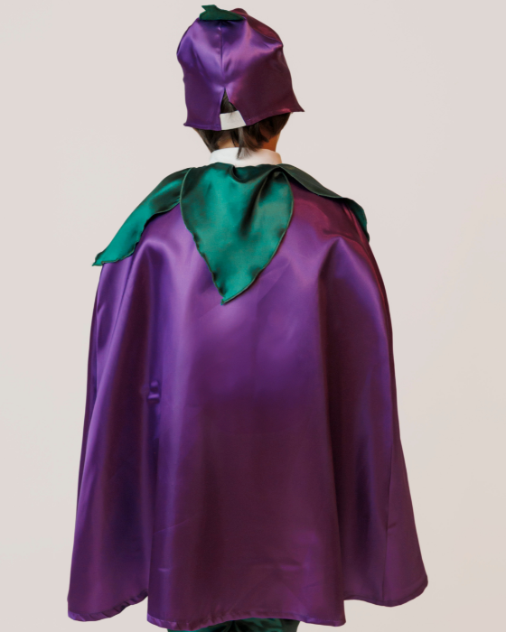 Costum Floare Mov, 2 Piese, cu Luminițe de Primăvară, Serbare, Brândușă, Toporaș, Zambilă