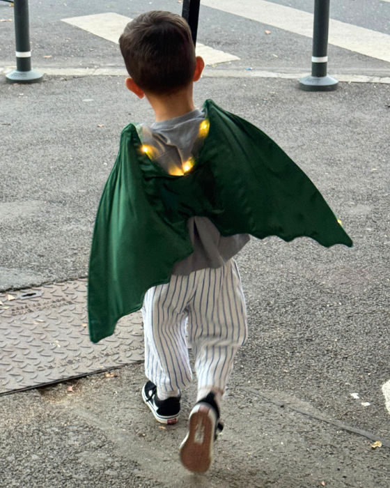 Aripi de Dragon / Dinozaur cu Luminițe pentru copii