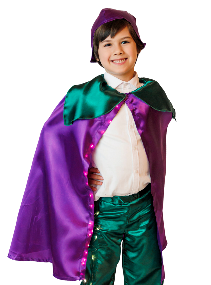 Costum Floare Mov, 2 Piese, cu Luminițe de Primăvară, Serbare, Brândușă, Toporaș, Zambilă