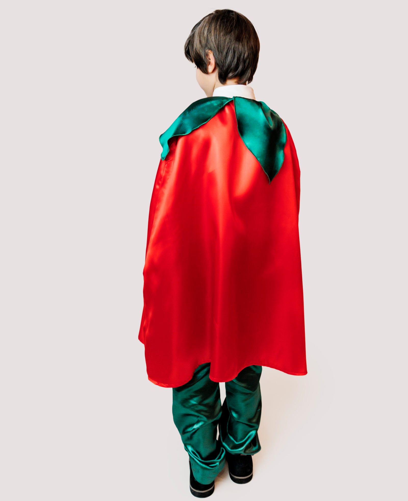 Pelerină cu Luminițe, Floare Roșie De Toamnă de băiat