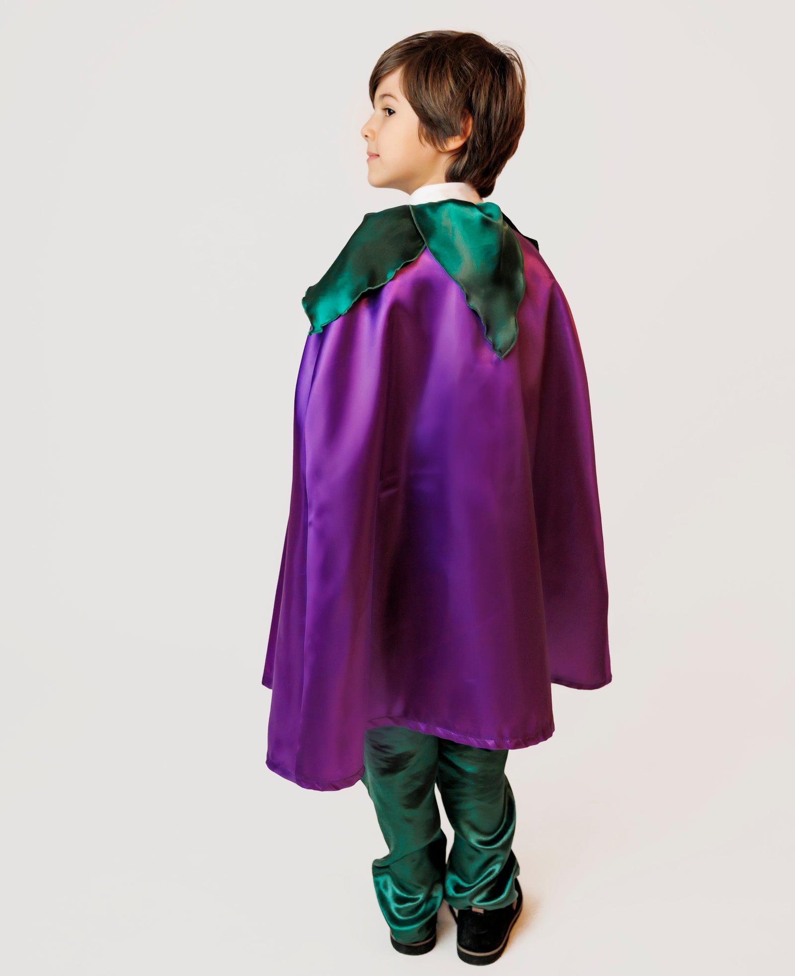 Pelerină cu Luminițe de băiat, Floare Mov (Brândușă, Toporaș, Mac, Violete)