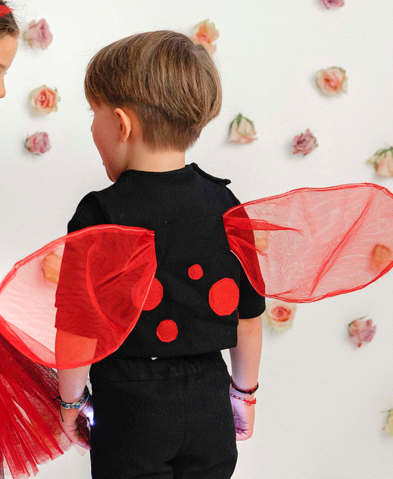 Vestă de Buburuză, de Băiat