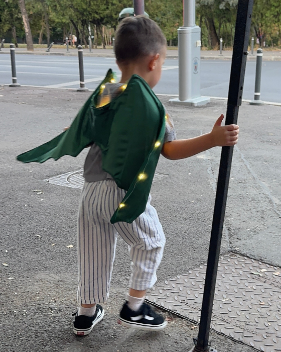 Aripi de Dragon / Dinozaur, cu luminițe, de Halloween / Carnaval