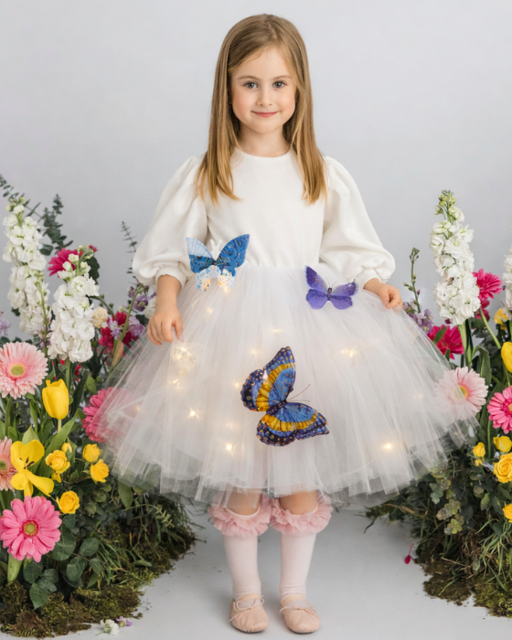 White Dress with Lights, with Blue Butterflies