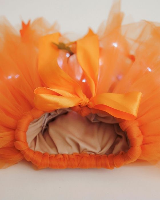 Fustița cu Luminițe, Zâna Toamnei, Festivalul Toamnei