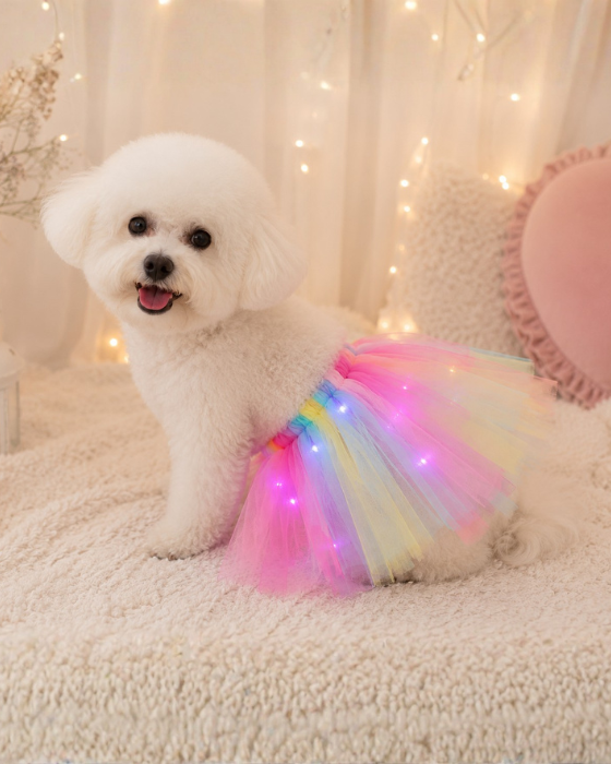 Fustita cu Luminite Curcubeu, Talie Medie, pentru Caine