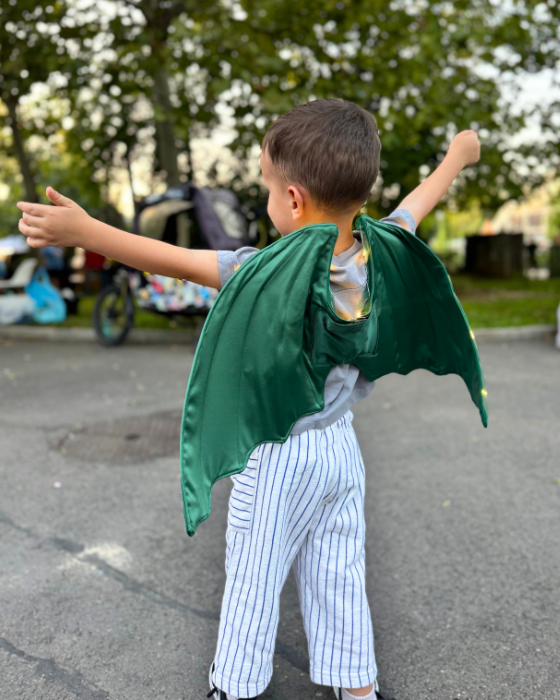 Dragon / Dinosaur Wings, with lights, for Halloween / Carnival