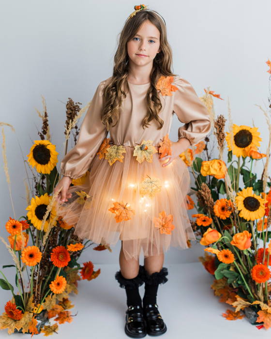Autumn Fairy Costume, 2 pieces, Dress and Headband