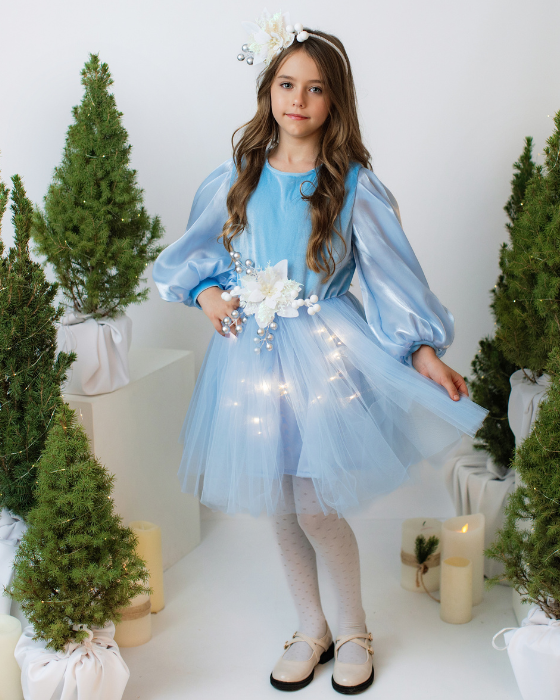 Rochita cu Luminite Bleu, Regina Fulgilor de Nea