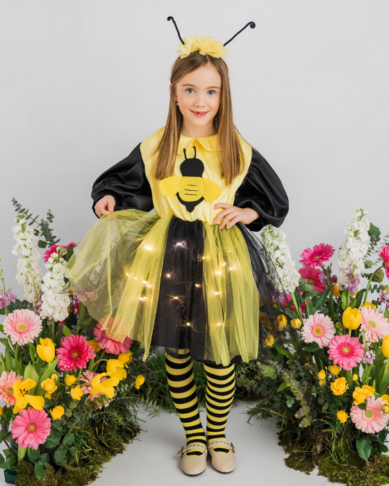 Rochița Albinuță cu Luminițe, Serbare toamnă