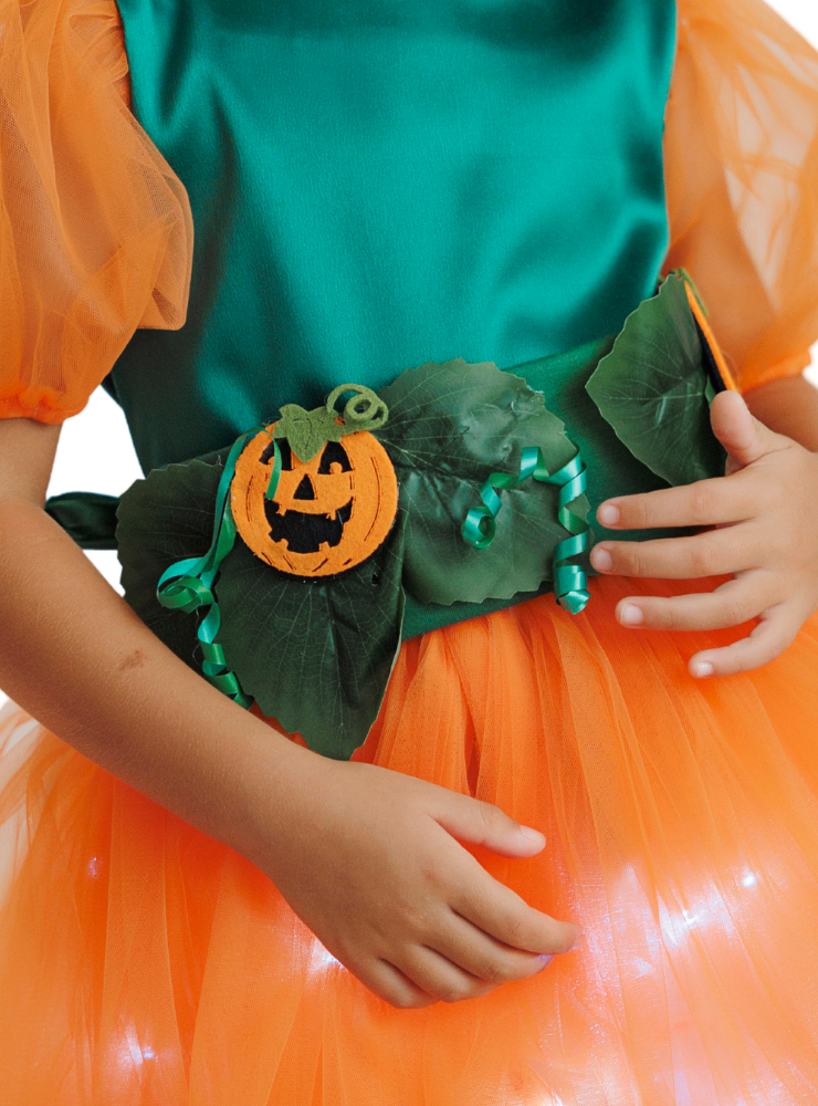 Pumpkin Apron