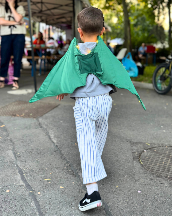 Aripi de Dragon / Dinozaur, cu luminițe, de Halloween / Carnaval