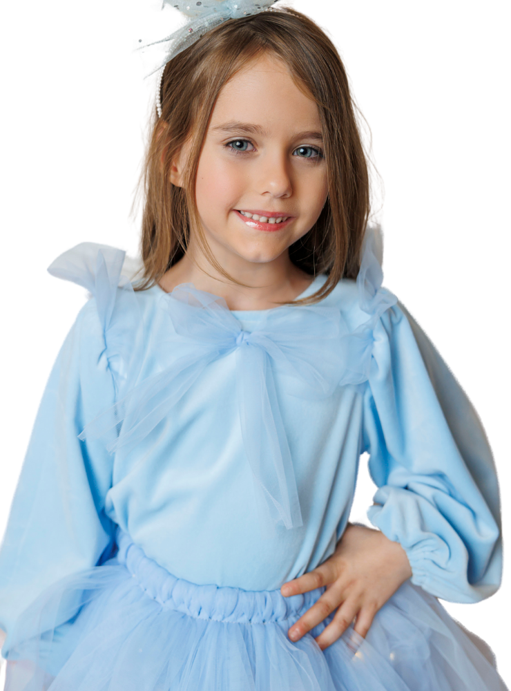 Bluzița, Elsa Bleu, Catifea de Craciun