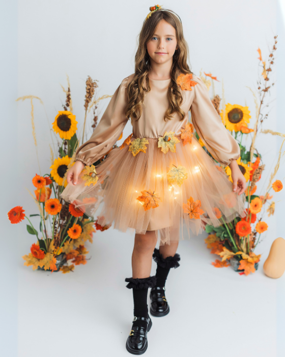 Autumn Fairy Costume, 2 pieces, Dress and Headband