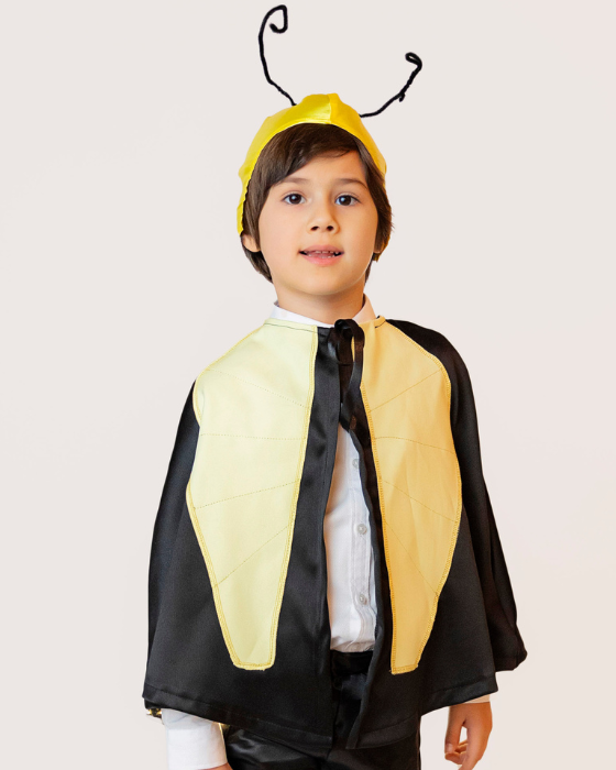 Pelerină cu Luminițe de Greiere /Licurici / Cărăbuș / Bondar, Albina