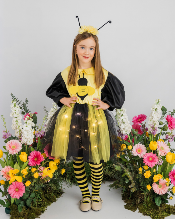 Rochița Albinuță cu Luminițe, Serbare toamnă