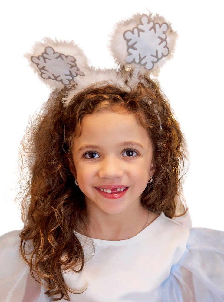 Bentiță cu Fulgi de Nea