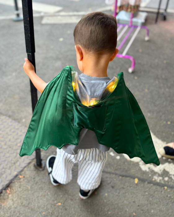 Aripi de Dragon / Dinozaur, cu luminițe, de Halloween / Carnaval