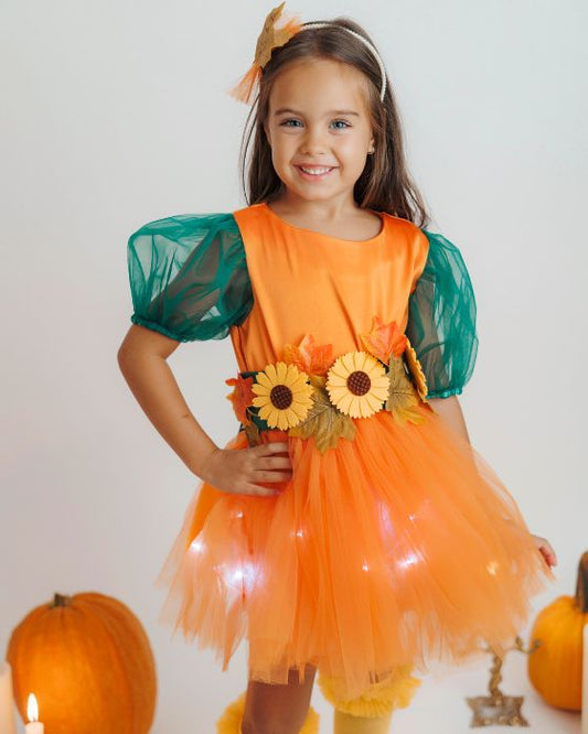 3 Piece Costume, Autumn Fairy