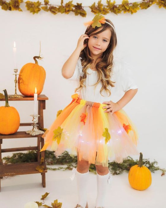 Pastel Autumn Fairy Complete Costume, 4 pieces