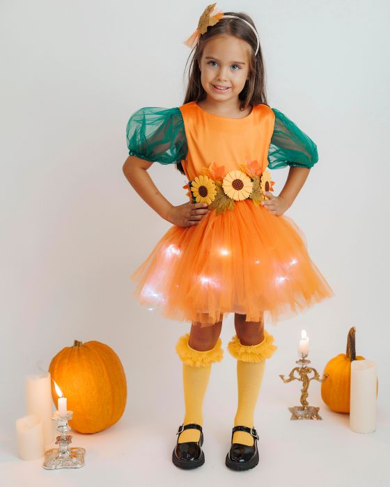 3 Piece Costume, Autumn Fairy
