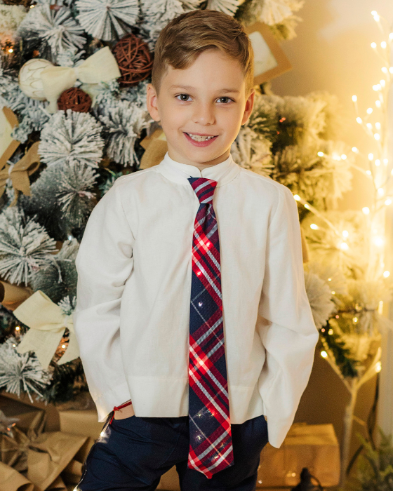 Tie with Sparkles, Checkered