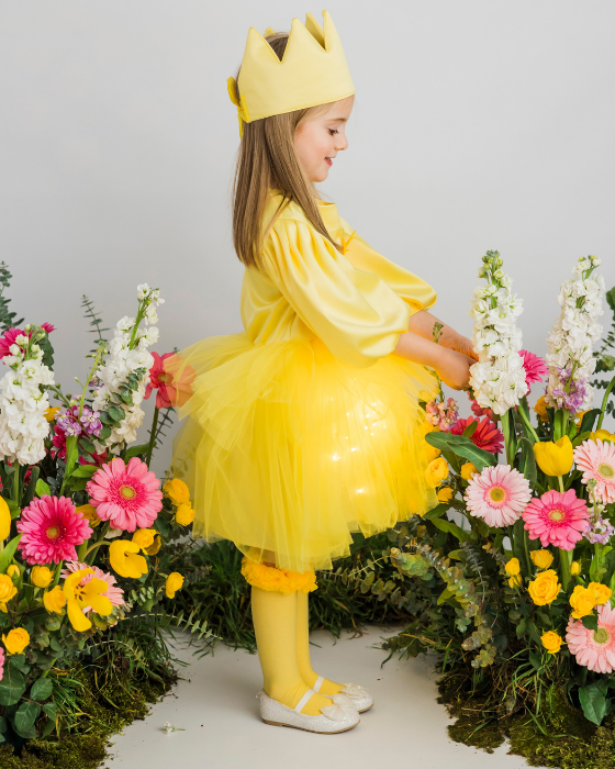 Rochița Soare cu Luminițe, Serbare Toamnă