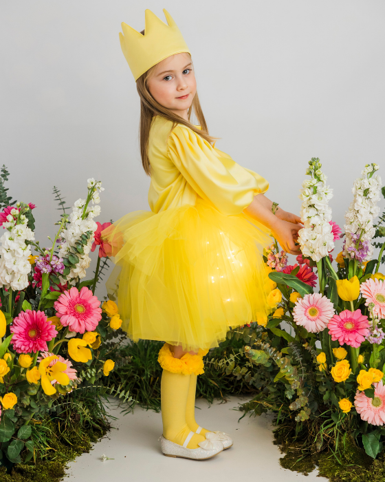 Rochița Soare cu Luminițe, Serbare Toamnă