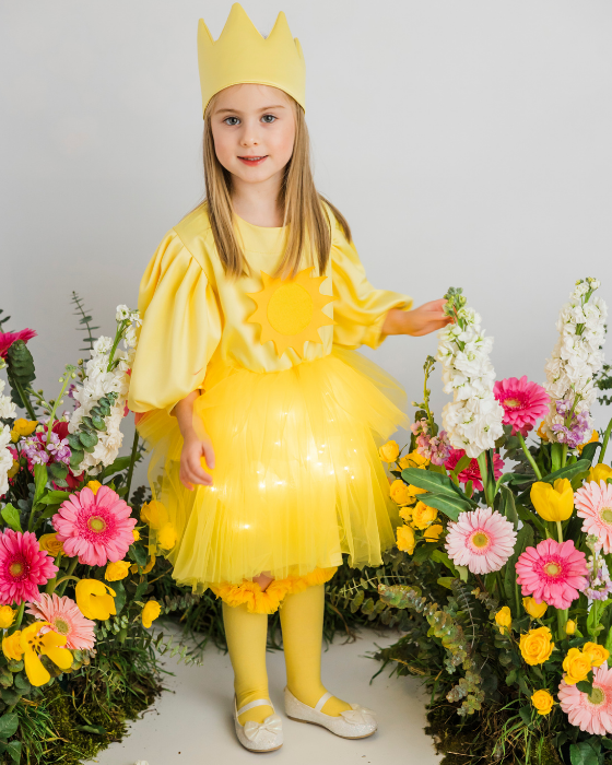 Rochița Soare cu Luminițe, Serbare Toamnă