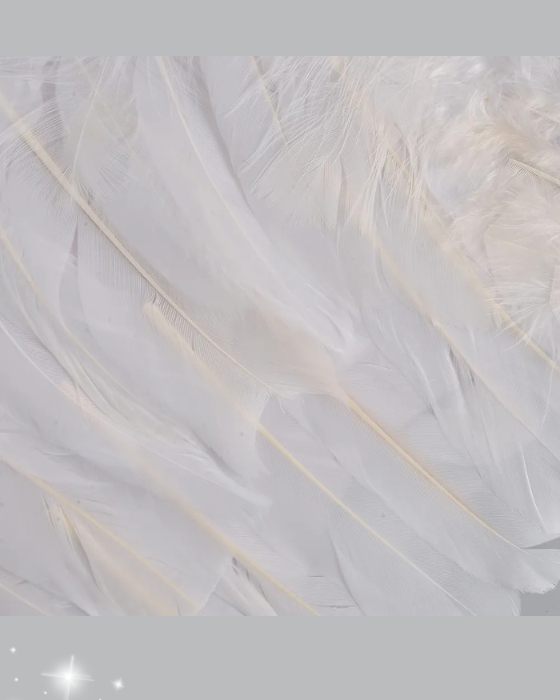 Set de Înger de Băiat, Aripi + Aură De Înger pentru Copii, Serbarea de Crăciun