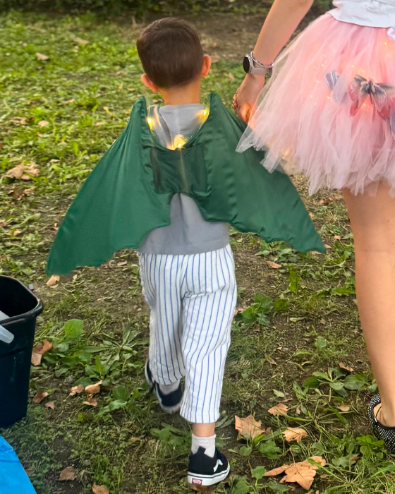 Aripi de Dragon / Dinozaur, cu luminițe, de Halloween / Carnaval