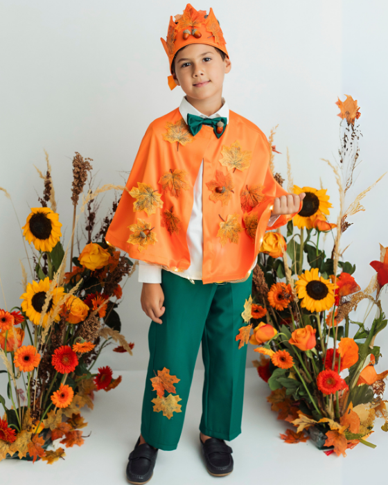 Complete Autumn Pumpkin Costume, 4 pieces, boys