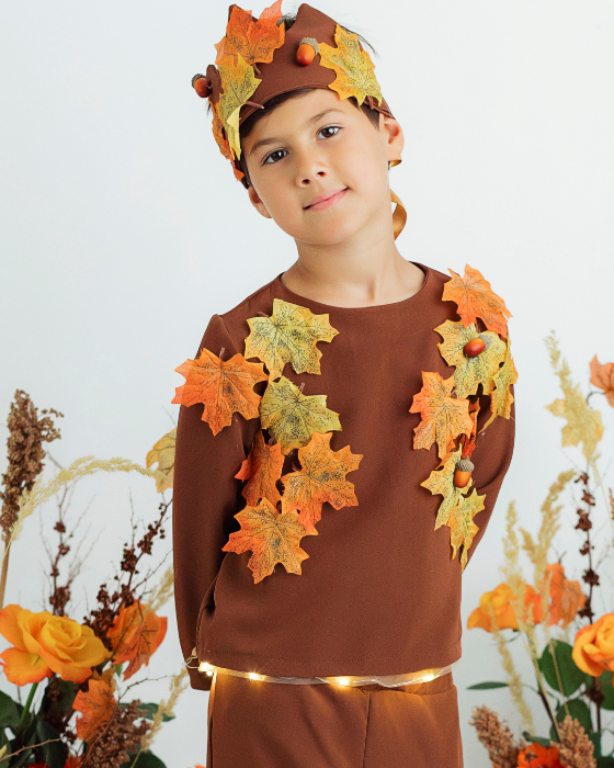 Bluză Regele Toamnei, cu Frunze, Serbare Toamnă, maro
