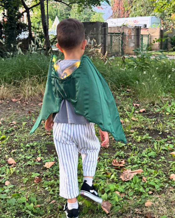 Aripi de Dragon / Dinozaur, cu luminițe, de Halloween / Carnaval