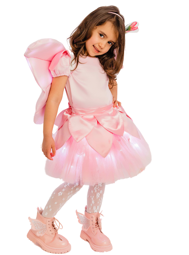 Costum Zâna Florilor - Fluturaș