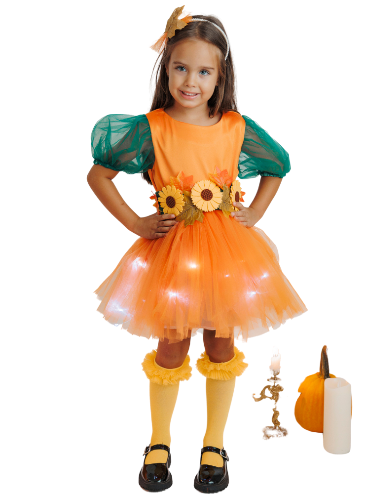 3 Piece Costume, Autumn Fairy