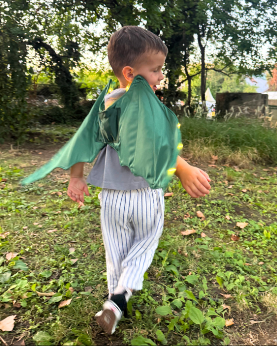 Aripi de Dragon / Dinozaur, cu luminițe, de Halloween / Carnaval